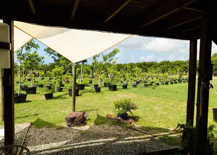 Eco-Friendly Glamping With Private Pool